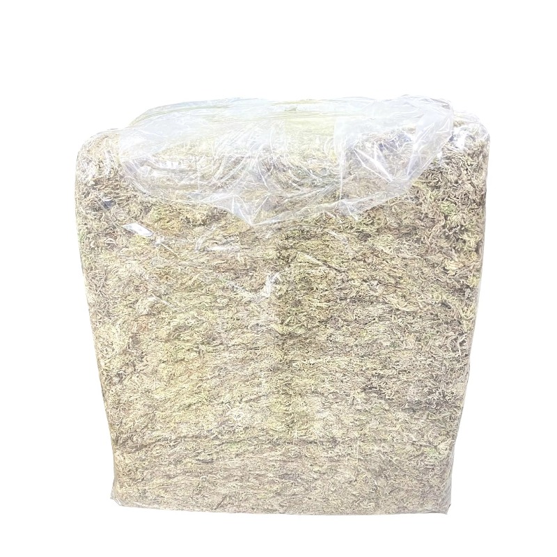 Sphagnum Moss Dry - Musgo de esfagno comprimido y seco