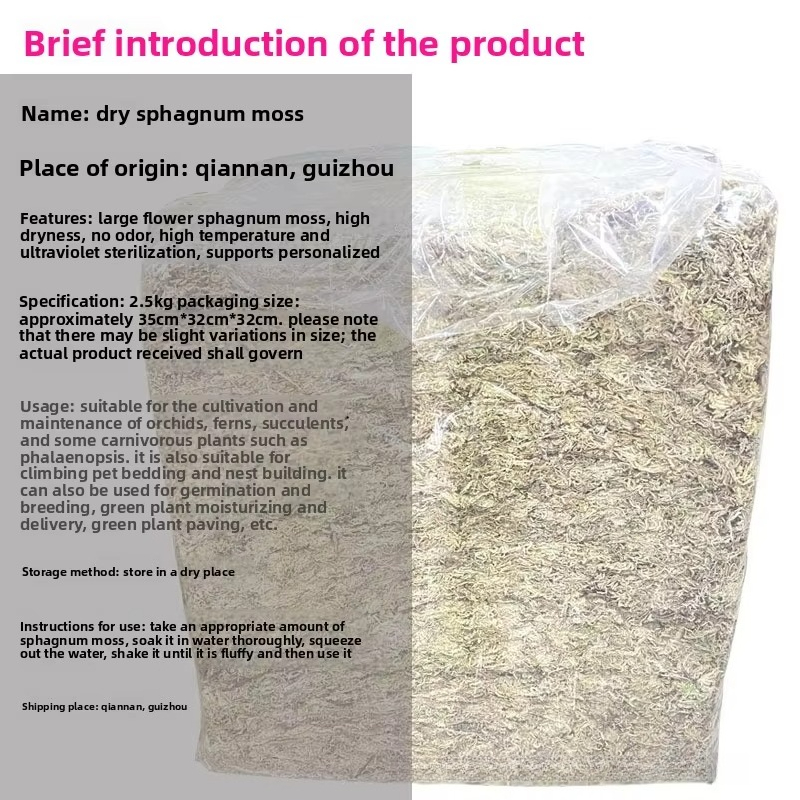 Musgo de esfagno 2.5kg a grane - Sphagnum Moss Dry reseña y precio