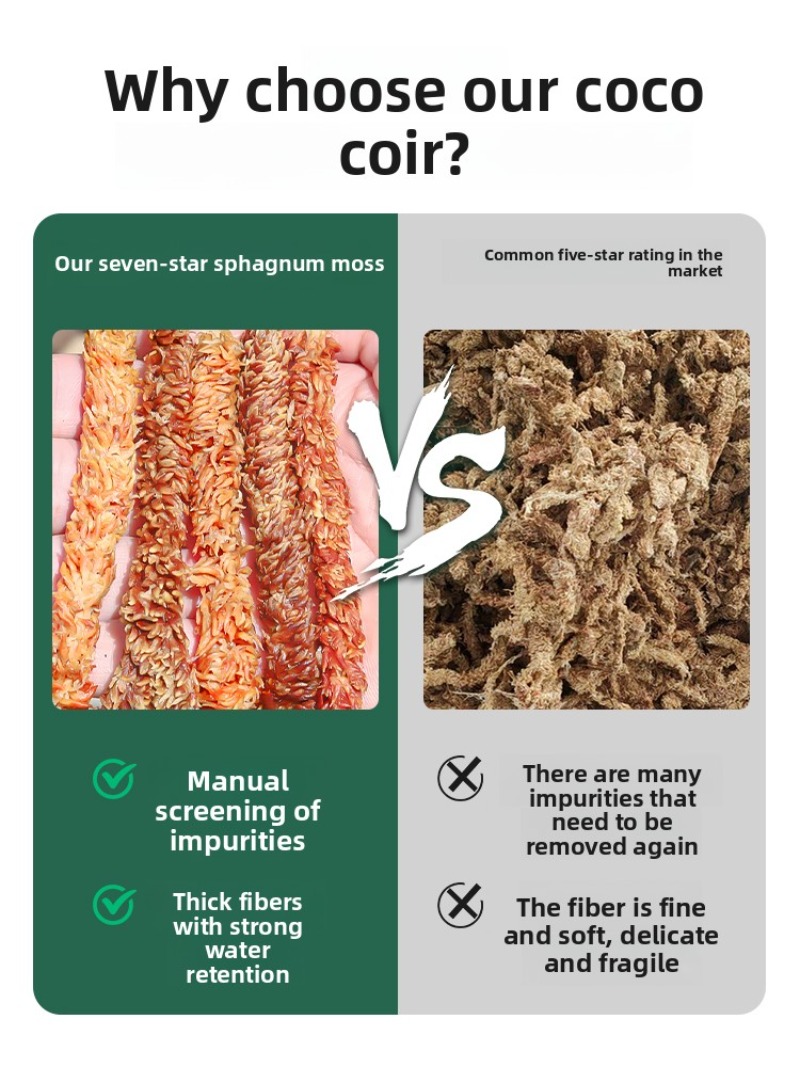 Musgo de esfagno chileno, 100  - Sphagnum Moss Dry reseña y precio