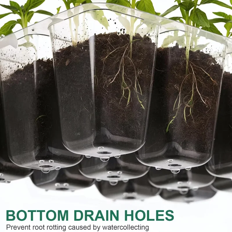 Kit de Germinación con Mini In - Humidity Dome Kit reseña y precio