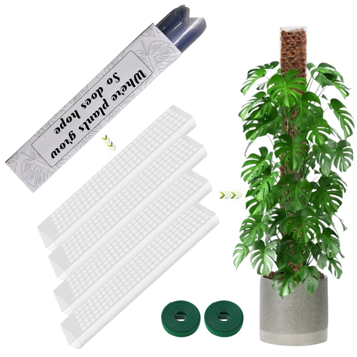 Soporte de Plástico para Plant - Sphagnum Moss Dry reseña y precio