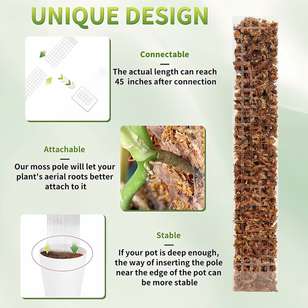 Soporte de Plástico para Plant - Sphagnum Moss Dry reseña y precio